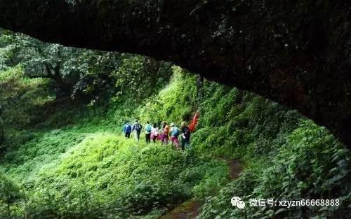 寻找萌小老虎